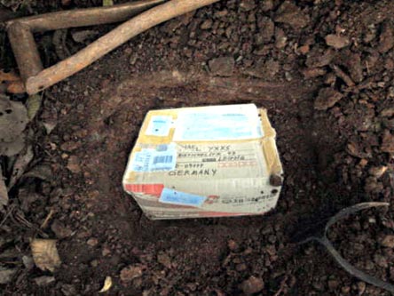 the parcel witness in the ground