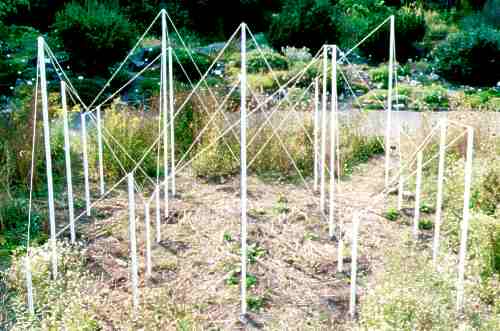Magisches Quadrat