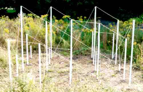 Magisches Quadrat
