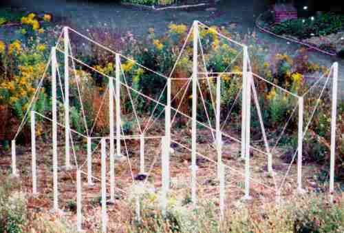 Magisches Quadrat