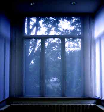 window Pi