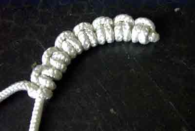 Pi knot
