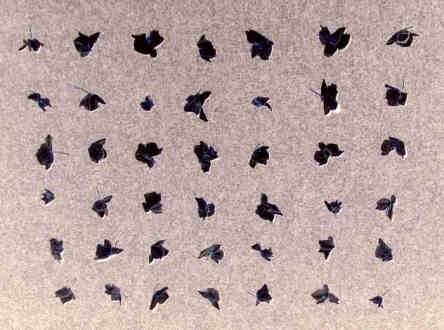 HAEL YGGS SCRIPT